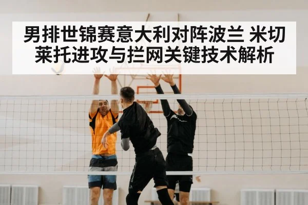 volleyball block net